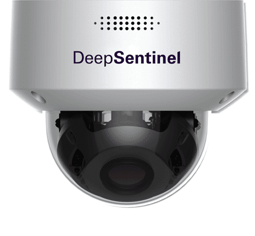 Deep Sentinel camera dome - Video Surveillance